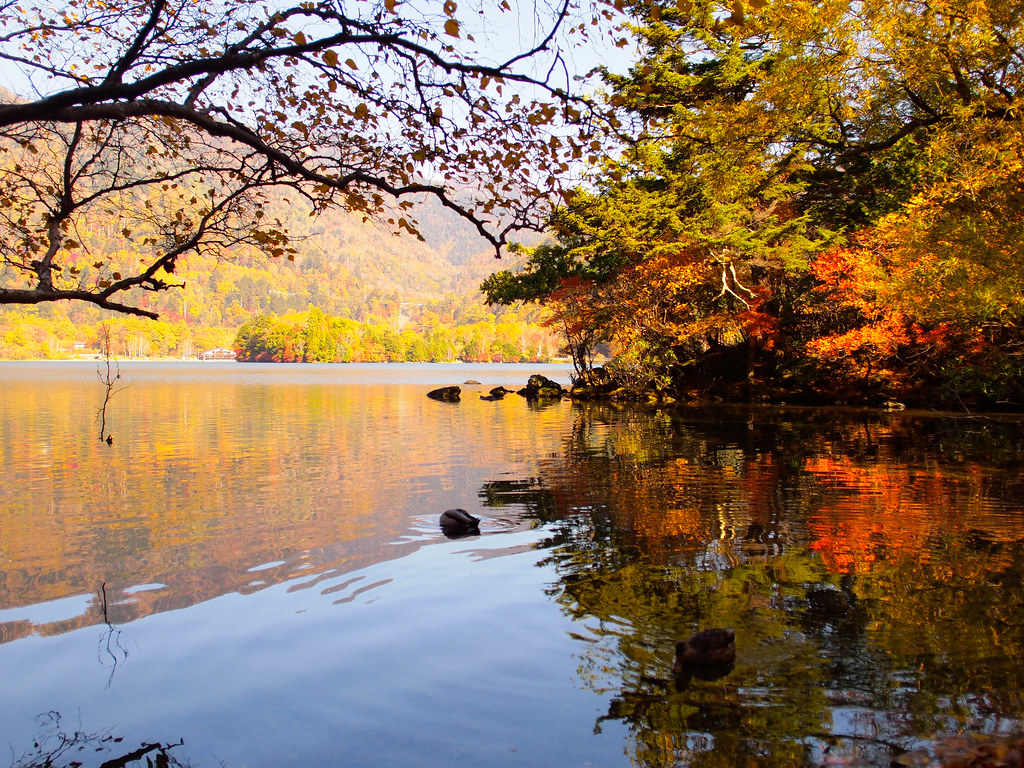 水面に映える紅葉「湯ノ湖」